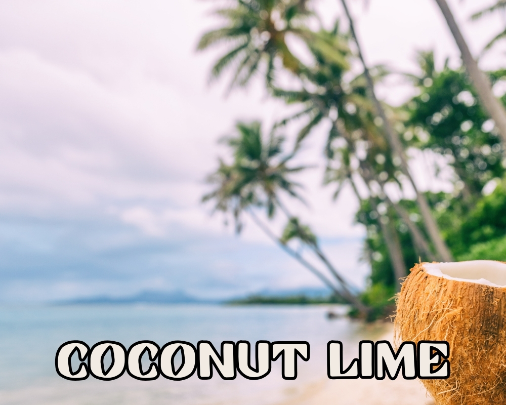 Coconut lime soap description